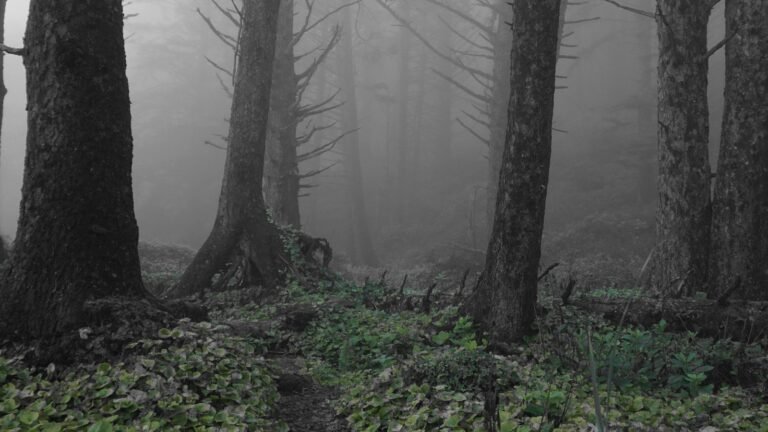 Абстрактная иллюстрация: туманная дорожка с мягким контуром, символ выхода из неопределенности шаг за шагом.