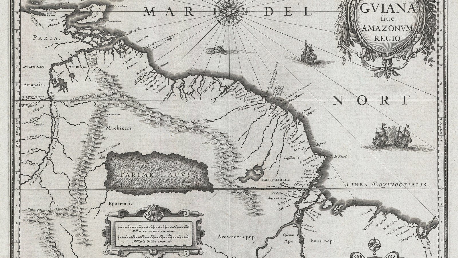 Чем отличается разбор ситуации от прогноза